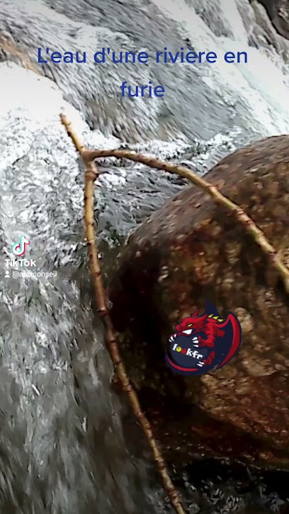 Poyet Karine, Concepteur de Sites Web à Gréoux-les-Bains