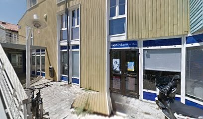 Lada Obradović, Concepteur de Sites Web à La Rochelle