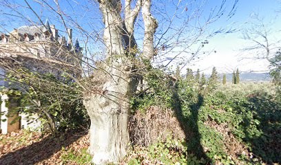 Zeugma Web Agency, Concepteur de Sites Web à Charleval