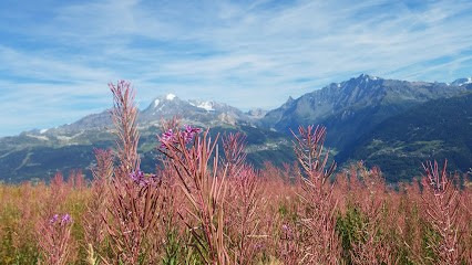Servajean Daniel, Concepteur de Sites Web à Aime-la-Plagne