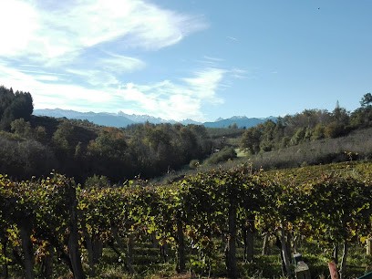 Othantic Conseil, Concepteur de Sites Web à Saint-Faust