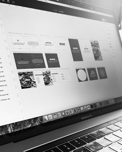 Dude . Studio Digital, Concepteur de Sites Web à Thyez